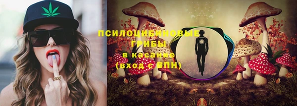 мескалин Лабытнанги
