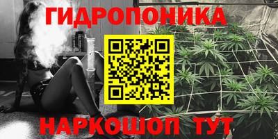 винт Надым