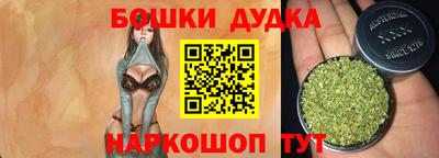 индика Набережные Челны