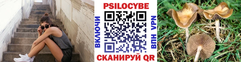 купить закладку Абакан Псилоцибиновые грибы Magic Shrooms