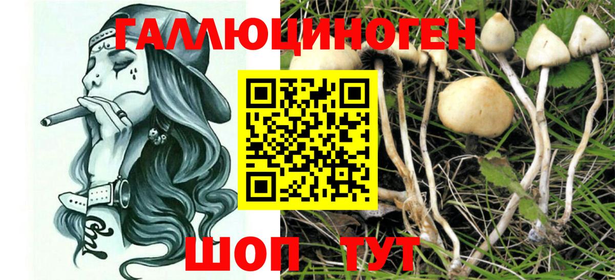 Абакан  Псилоцибиновые грибы Magic Shrooms  Вход с VPN 