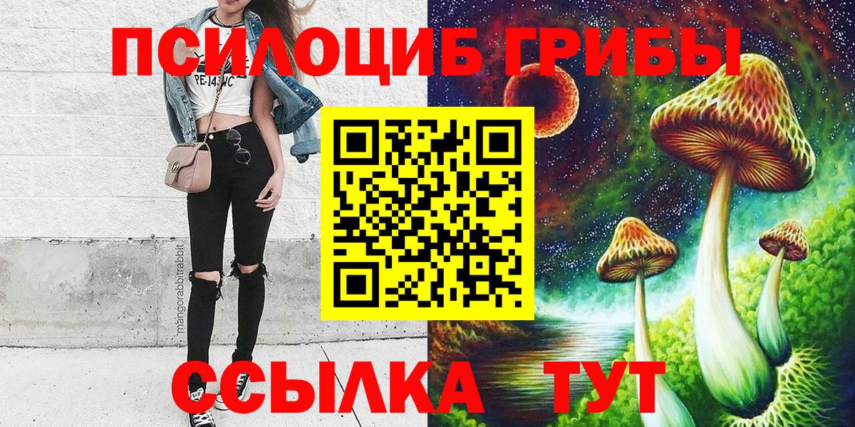 Псилоцибиновые грибы мухоморы Абакан